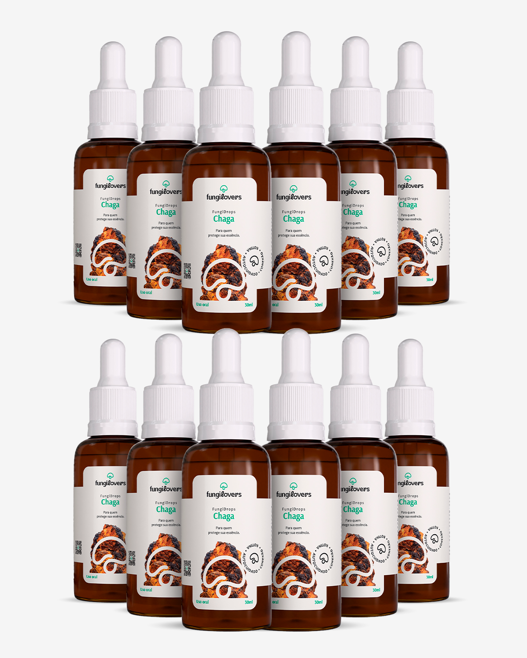 Kit 12 Extratos Chagas - Inonotus obliquus