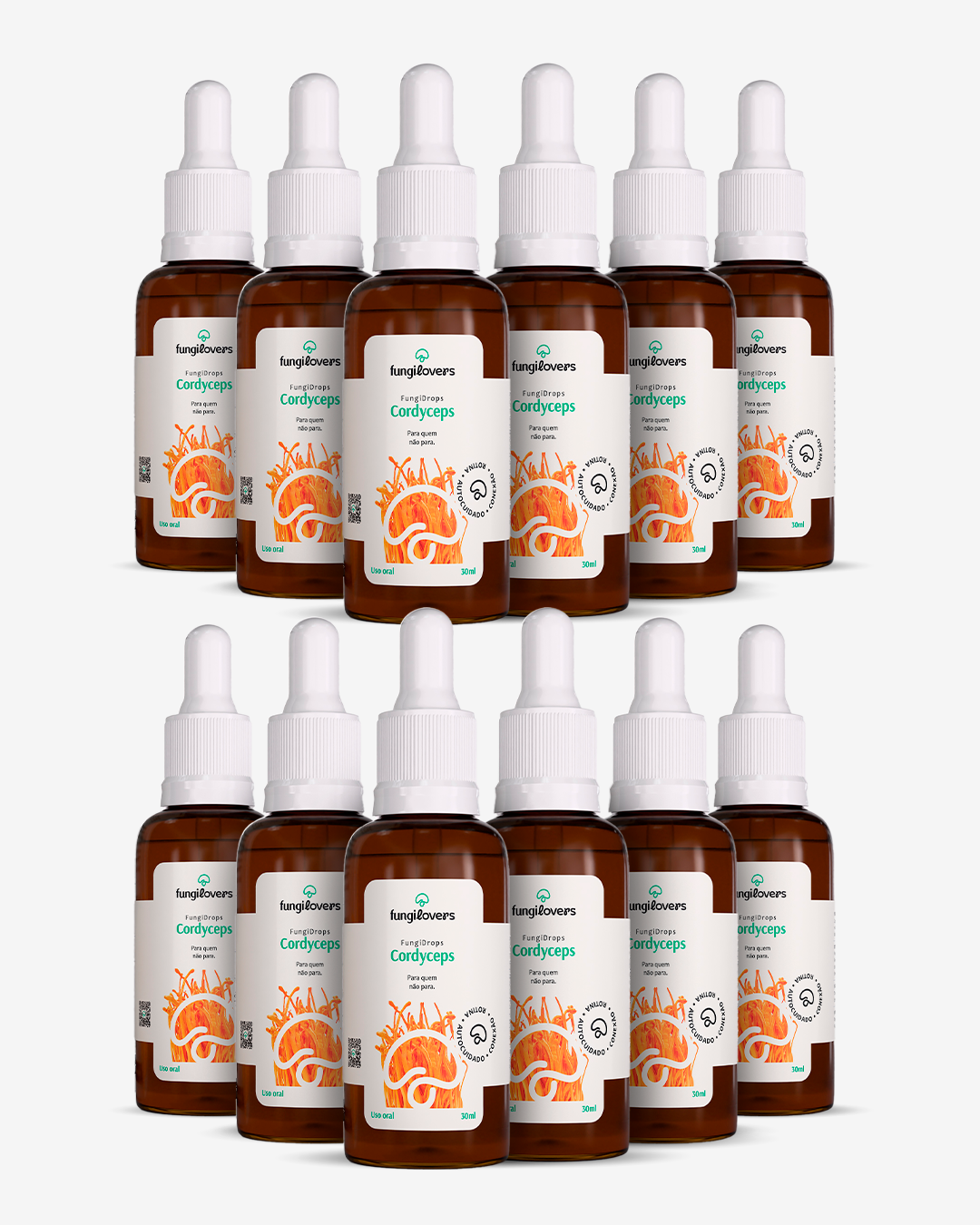 Kit 12 Extratos Cordyceps - Cordyceps militaris