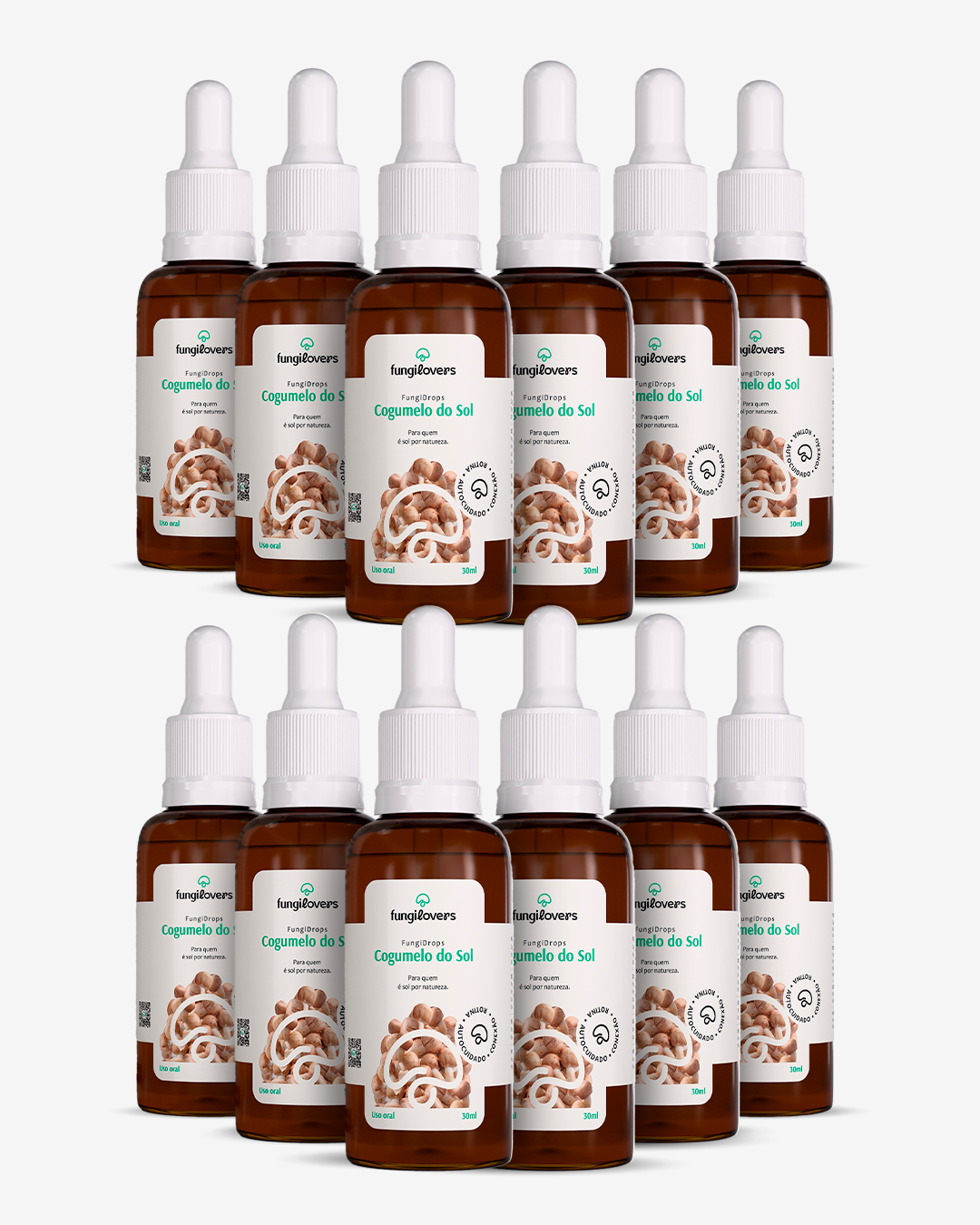 Kit 12 Extratos Cogumelos Do Sol - Agaricus blazei