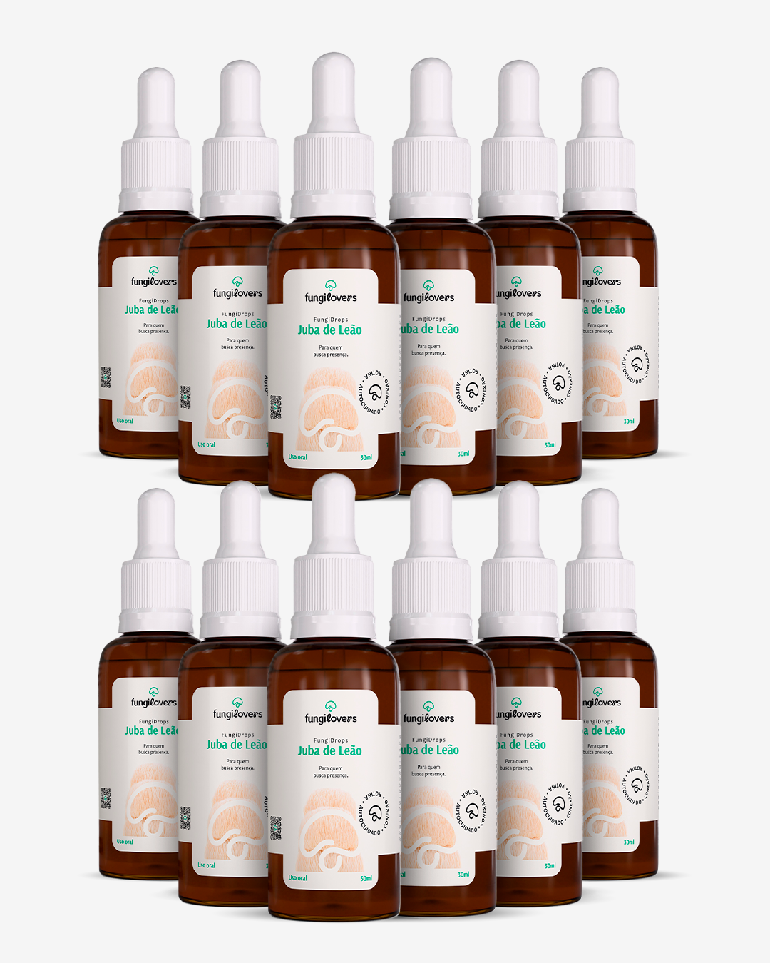 Kit 12 Extratos Jubas de Leão - Hericium erinaceus