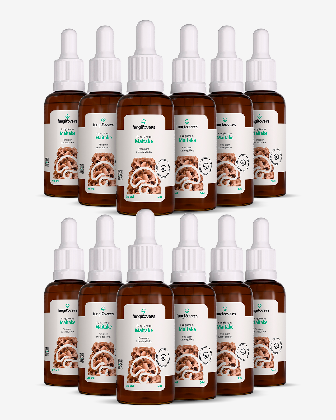 Kit 12 Extratos Maitake - Grifola frondosa