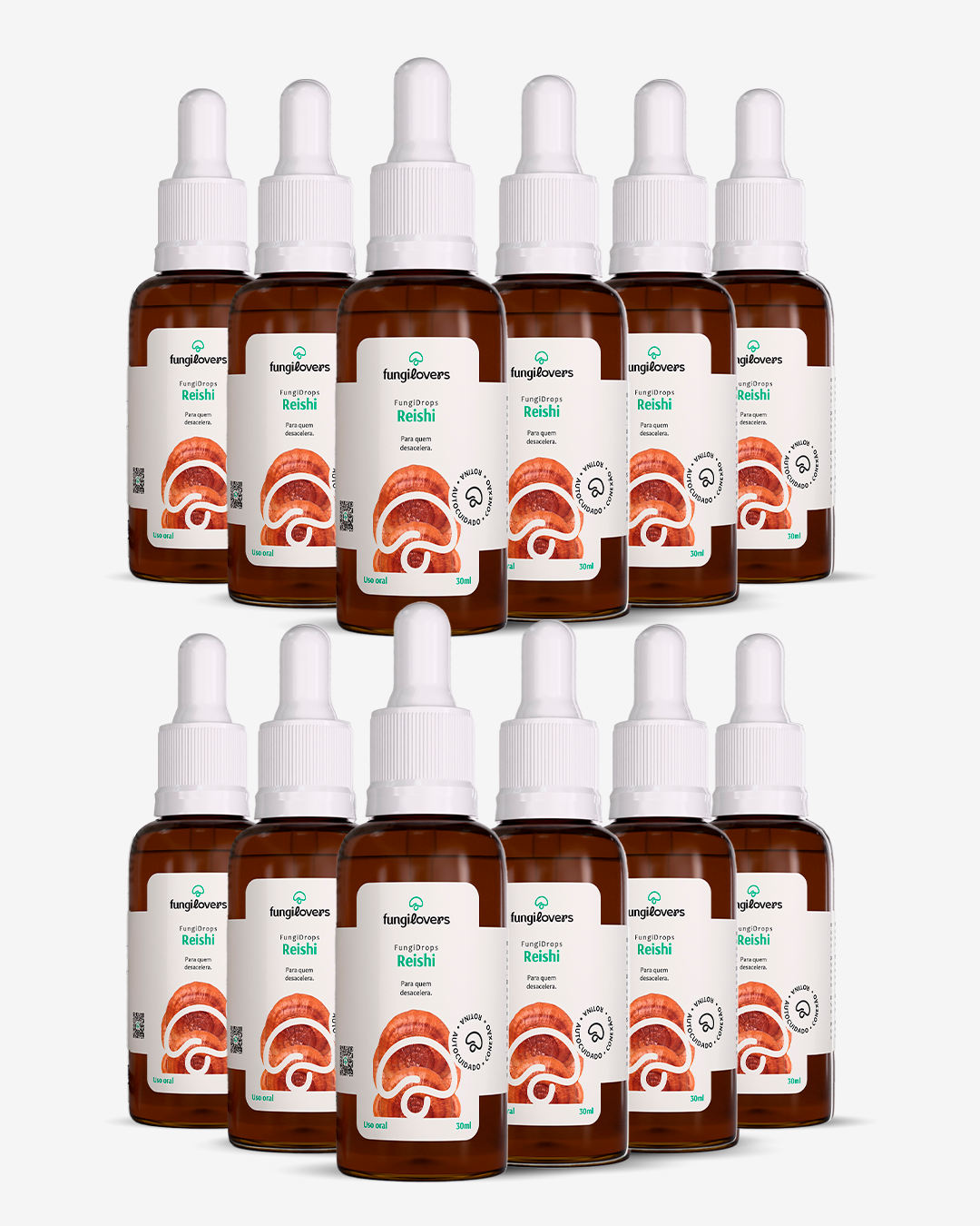Kit 12 Extratos Reishi - Ganoderma lucidum