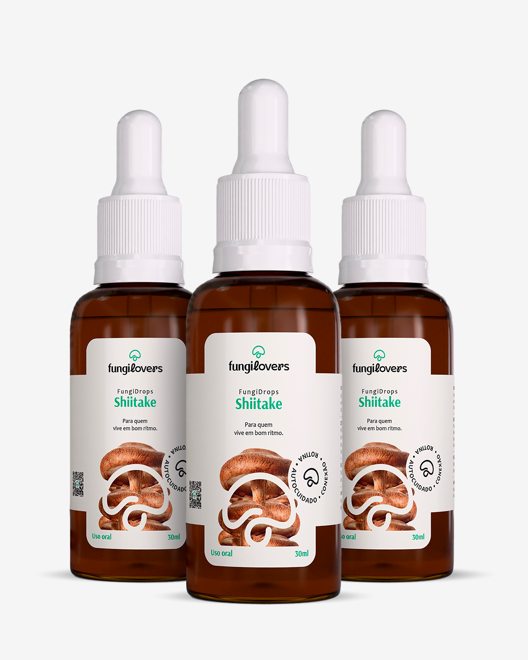 Kit 3 Extratos Shiitake - Lentinula edodes