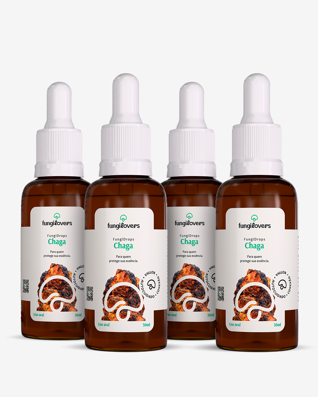 Kit 4 Extratos Chagas - Inonotus obliquus