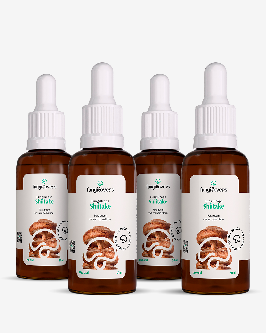 Kit 4 Extratos Shiitake - Lentinula edodes