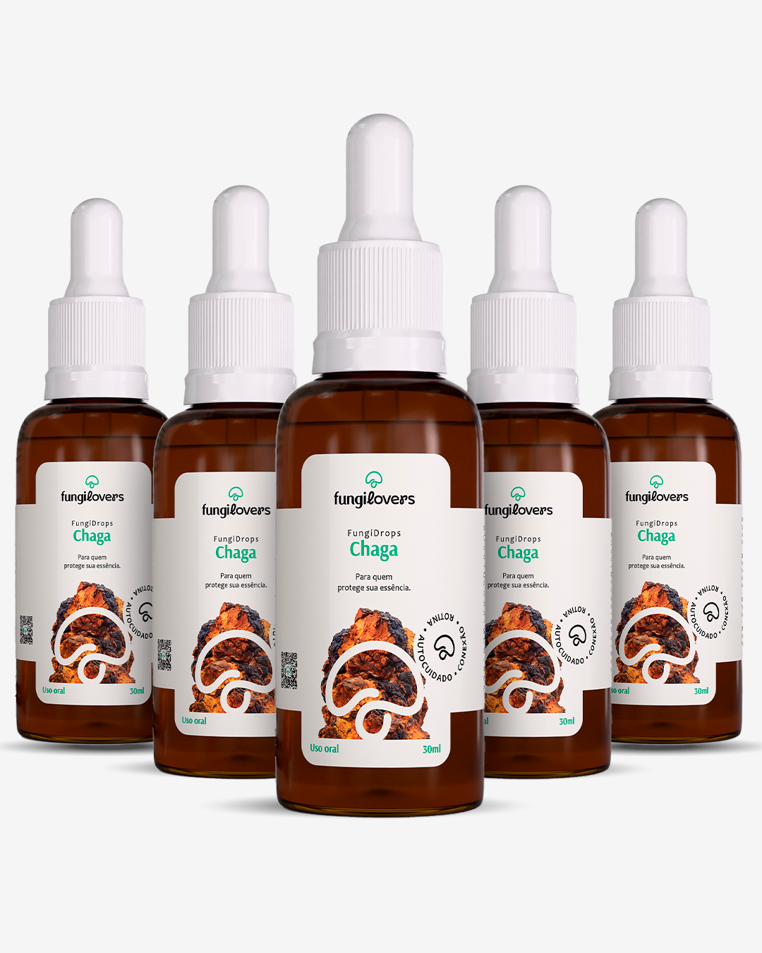 Kit 5 Extratos Chagas - Inonotus obliquus
