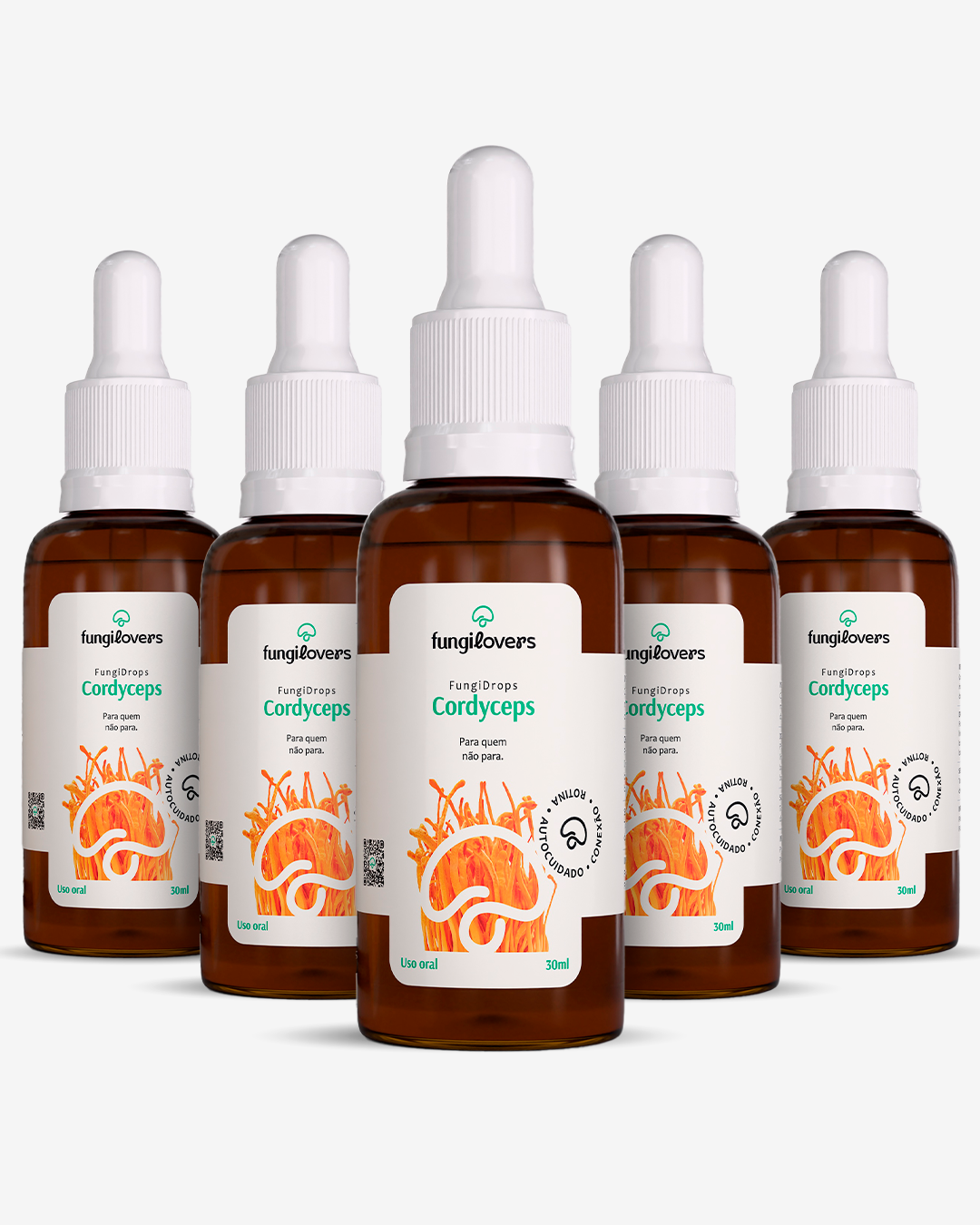Kit 5 Extratos Cordyceps - Cordyceps militaris