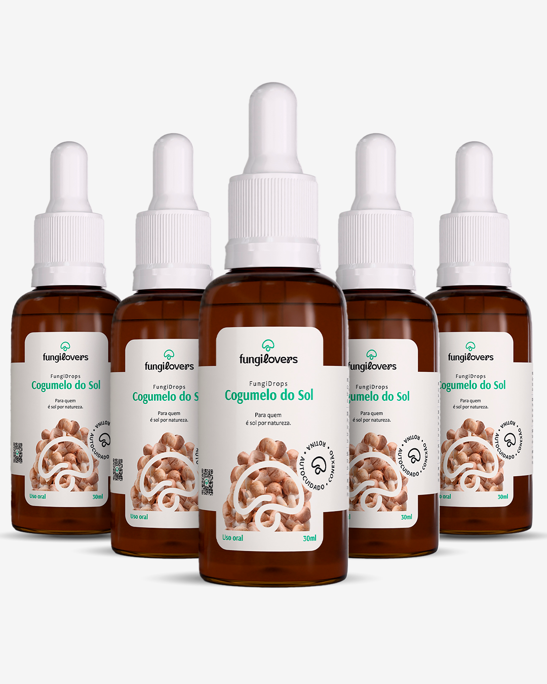 Kit 5 Extratos Cogumelos Do Sol - Agaricus blazei
