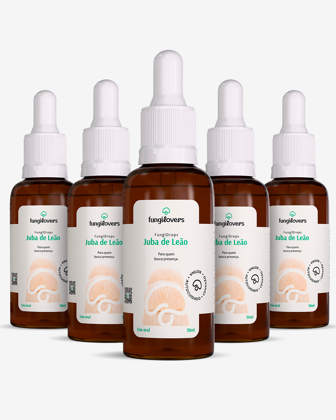 Kit 5 Extratos Jubas de Leão - Hericium erinaceus