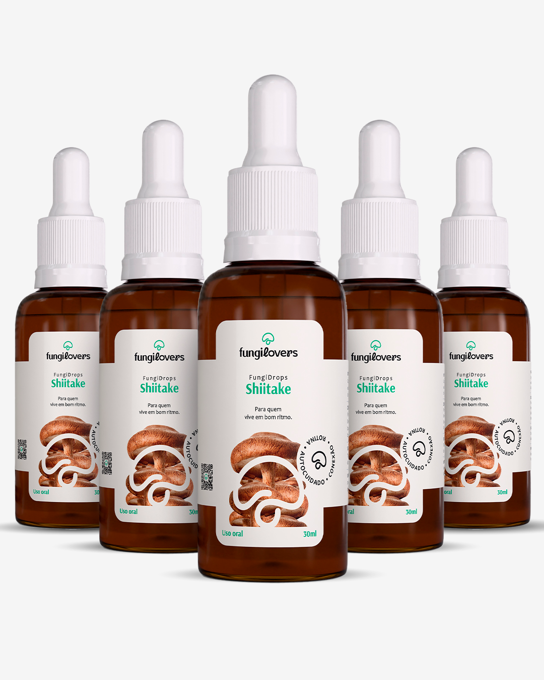 Kit 5 Extratos Shiitake - Lentinula edodes