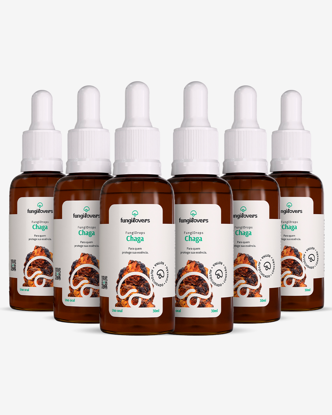Kit 6 Extratos Chagas - Inonotus obliquus