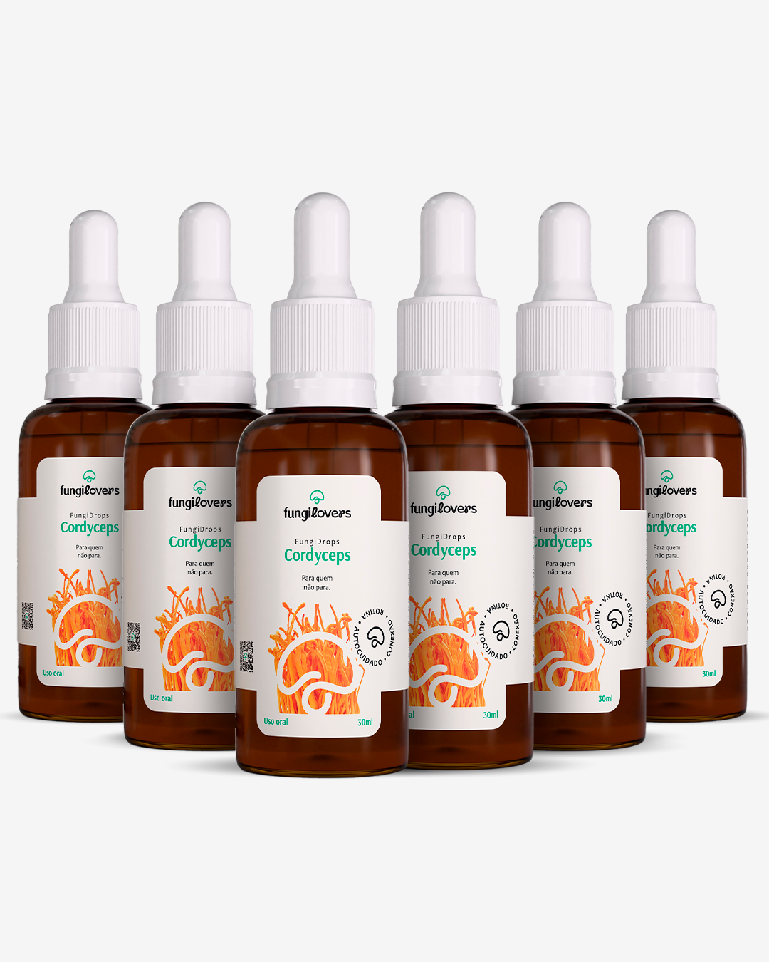Kit 6 Extratos Cordyceps - Cordyceps militaris