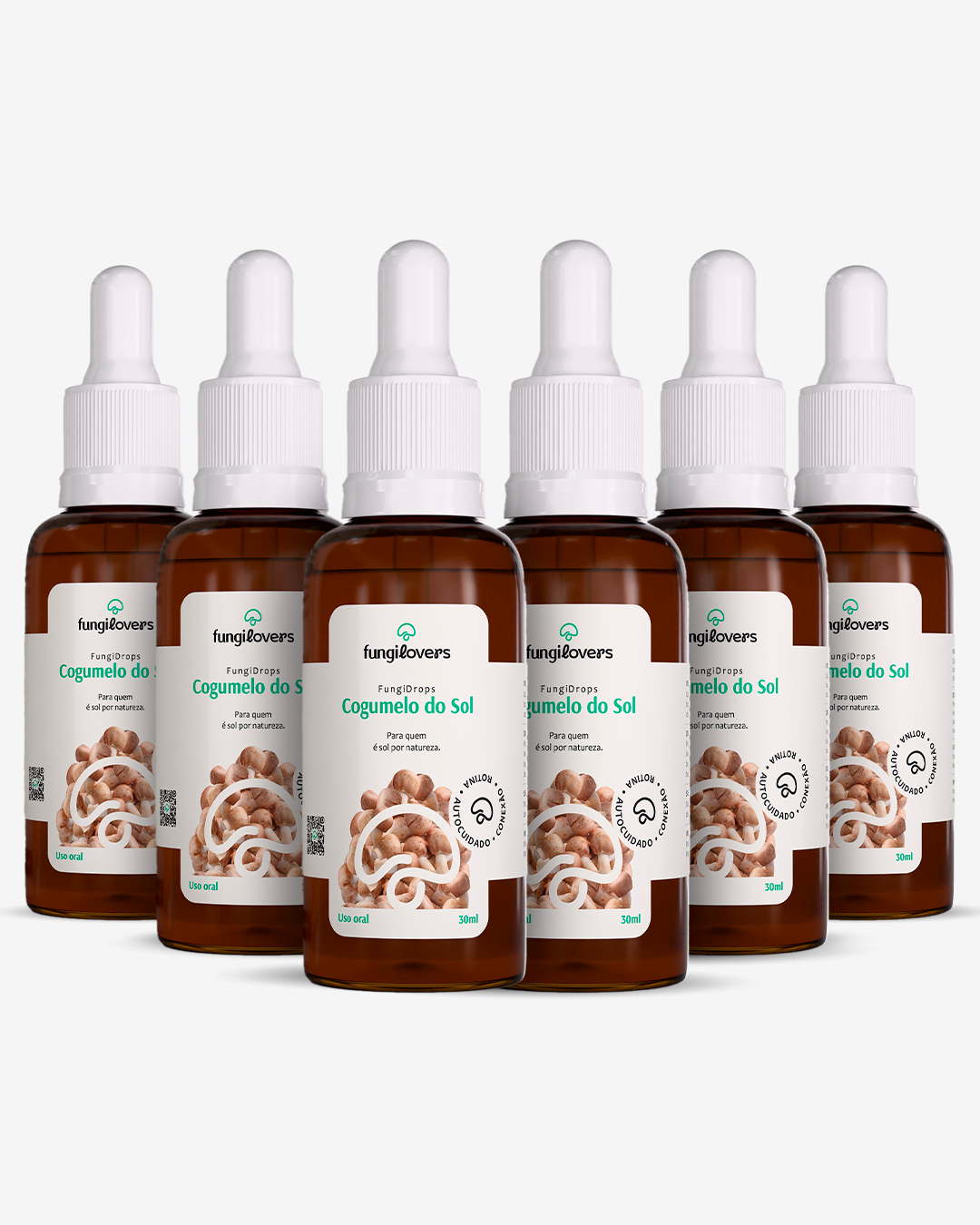 Kit 6 Extratos Cogumelos Do Sol - Agaricus blazei