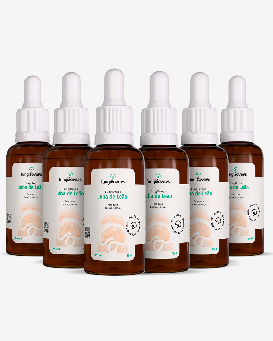 Kit 6 Extratos Jubas de Leão - Hericium erinaceus