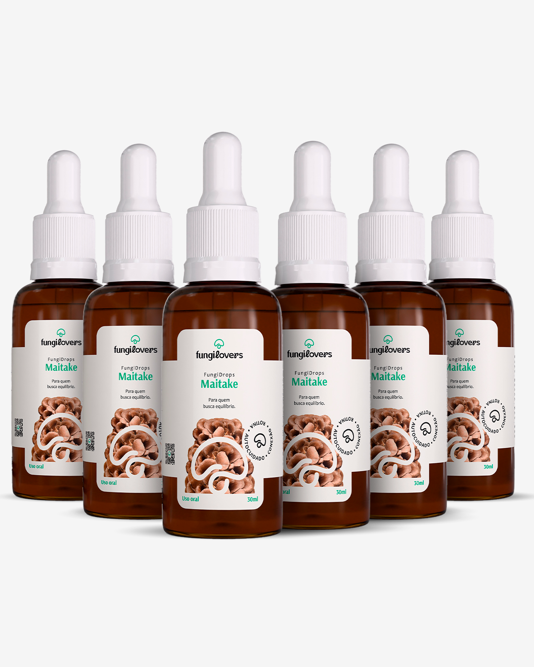 Kit 6 Extratos Maitake - Grifola frondosa