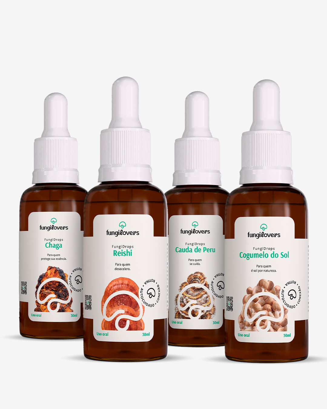 Kit Armor Fungilovers: frascos de Reishi + Cauda de Peru + Cogumelo do Sol + Chaga