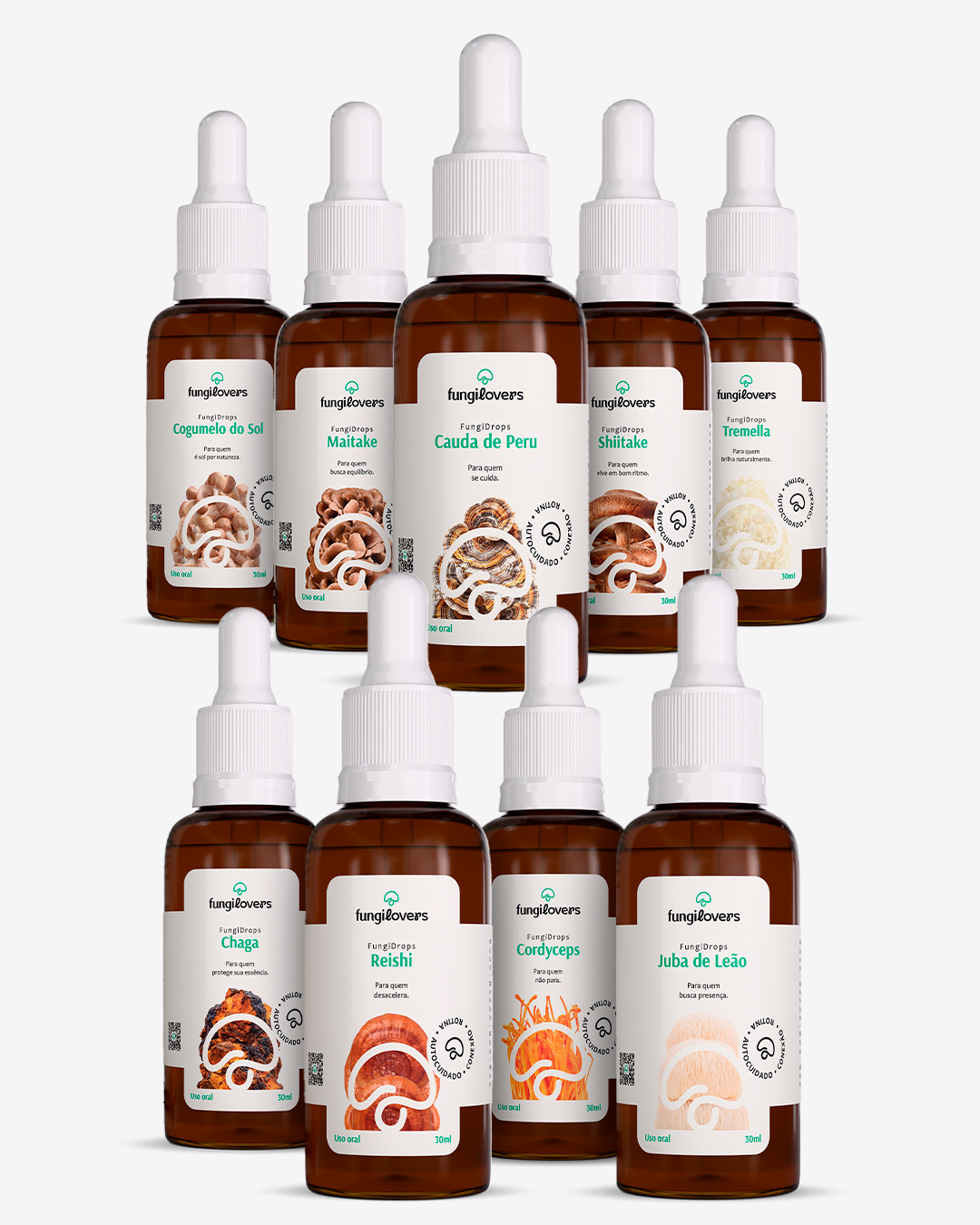 Kit Completo 9 Extratos de Cogumelos