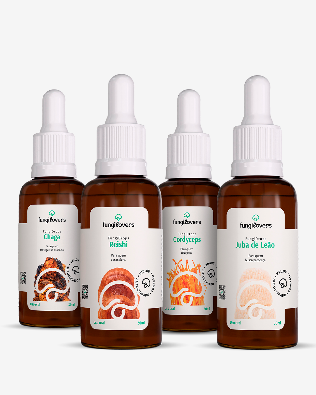 Kit Go Fungilovers: frascos de Chaga + Reishi + Cordyceps + Juba de Leão