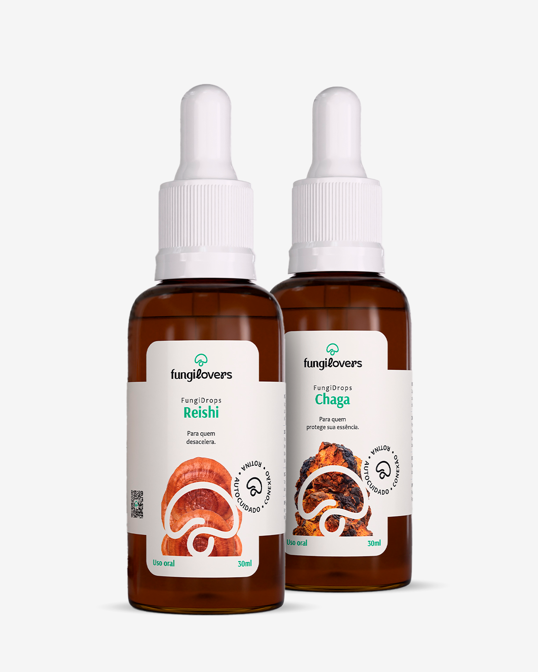 Kit Roots Fungilovers: frascos de Reishi + Chaga
